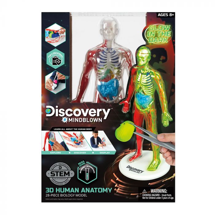 Discovery Mindblown Human Anatomy Kit STEM Toys